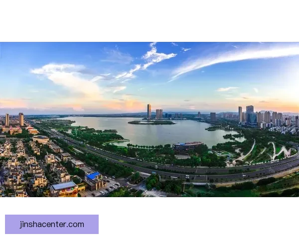 金沙文化遗产与现代城市发展融合的创新探索与实践